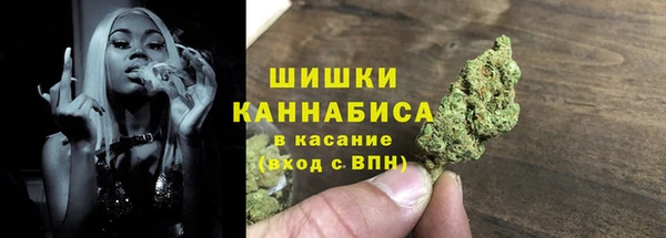 ПСИЛОЦИБИНОВЫЕ ГРИБЫ Новокубанск