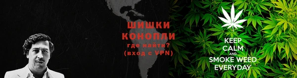 экстази Новодвинск