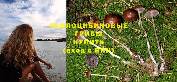 экстази Новодвинск