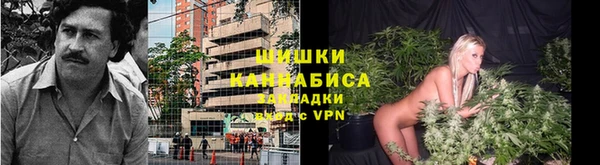 PSILOCYBIN Нягань